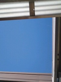 いい天気だな～☆ 2008/10/28 12:03:30