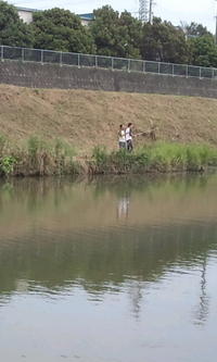 コイツら～(;`皿´) 2009/06/20 19:00:27