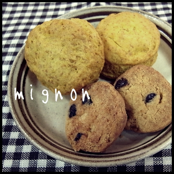 【14th mignon】出店者の紹介
