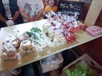 【14th mignon】ありがとうございました