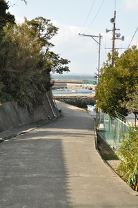 アートの島 　☆佐久島☆