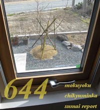 644　絵画の額のような・・・　Ytさんち