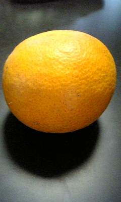 自家製オレンジピール