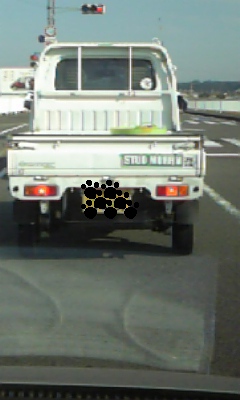 ☆ミラクル☆