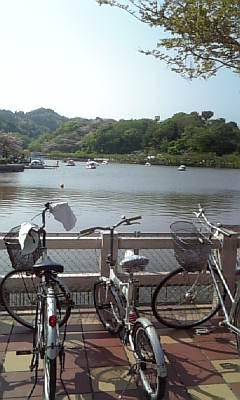 蓮華寺池広場