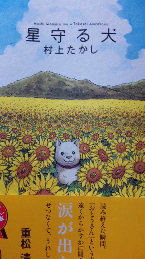 涙がとまらない(:_;)