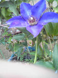 5月17日の記事 2009/05/17 15:47:30