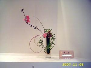 ★池坊もったいないプロジェクト★