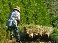 ★ミスター円、山間地への提言★