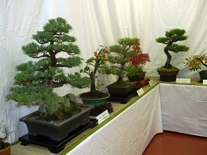 ★秋のみさくぼ文化展★