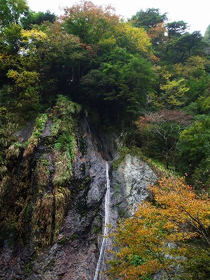 ★華麗なる秋の切通し峡★