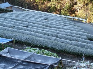 ★水窪の山々は雪化粧★
