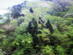 ★水窪の観光カレンダーその壱★