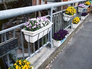 ★花のある街作り・・・★