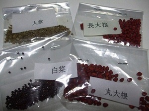 ★秋野菜の種が届きました★