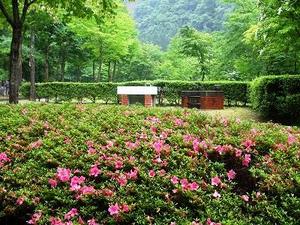 ★梅雨の日のキャンプ場★