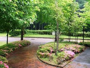 ★梅雨の日のキャンプ場★