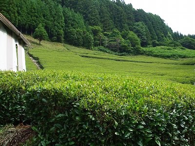 ★龍山、佐久間そして水窪★