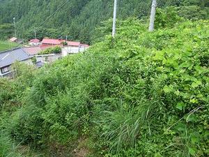 ★山の農家がピンチ★