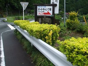 ★岸辺の紫陽花★