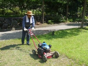 ★夏の芝刈り★