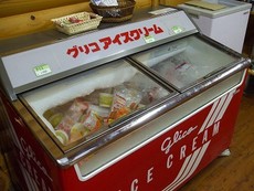★マロニエの里の紹介★