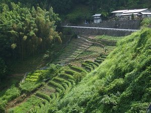 ★農山村ビジネスの可能性⑤★
