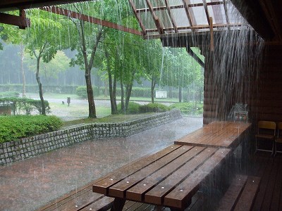 ★突然の雷雨★