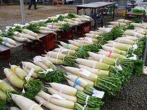 ★みさくぼ野菜品評会が開催★