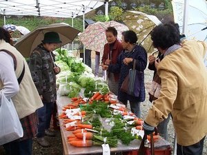 ★みさくぼ野菜品評会が開催★