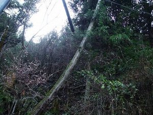 ★ウォーキング★