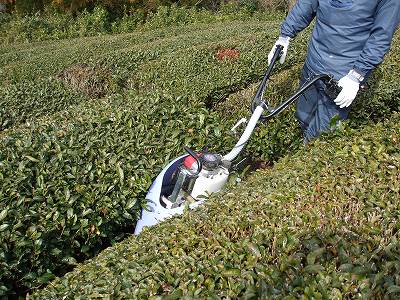 ★山では春の農作業が★