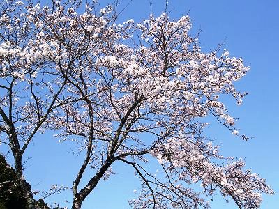 ★行革の行方★