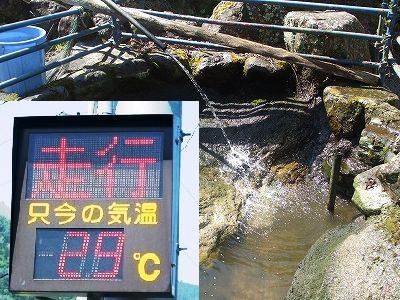 ★北遠は初夏の陽気★