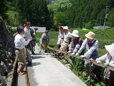 ★ＳＢＳが取材に★