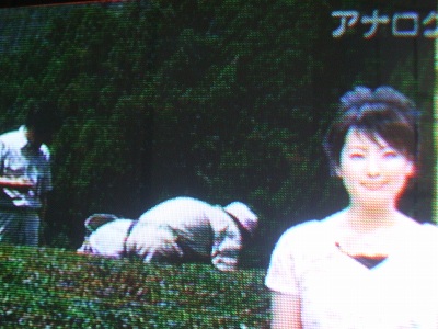 ★ＳＢＳイブニングeyeで放送★