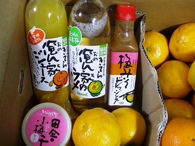 ★きてら～★