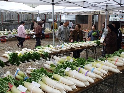 ★	みさくぼで野菜品評会★