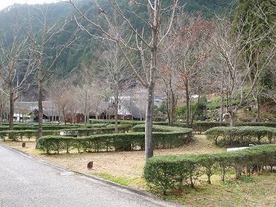 ★冬のキャンプ場便り★