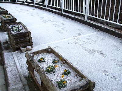 ★水窪も初雪★