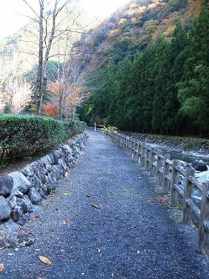 ★冬への道★