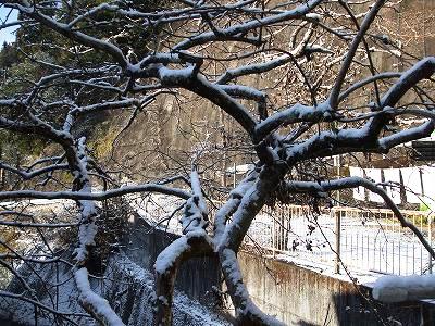 ★今朝の水窪は雪景色★