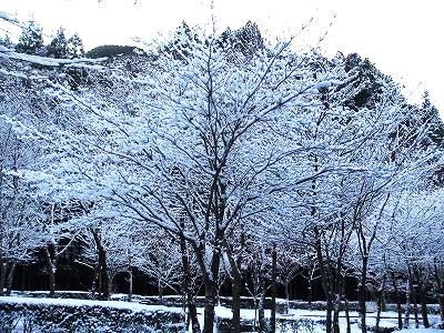 ★雪の華★