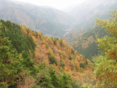 水窪紅葉情報