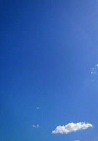 天気いいですね