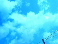 またまた久々