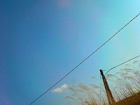 いい天気