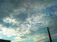 １９日の朝