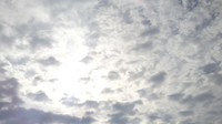 ３０日（日）