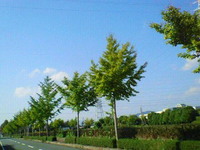 配達の途中で